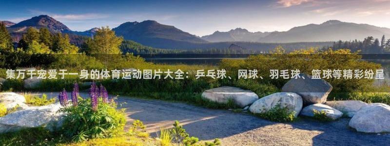 尊龙官网下载招商电话是多少号码