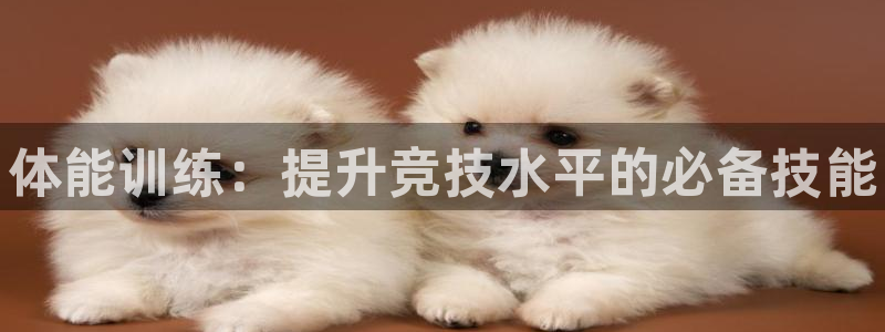 尊龙官网下载招商电话是多少号码：体能训练：提升竞技水平的必备