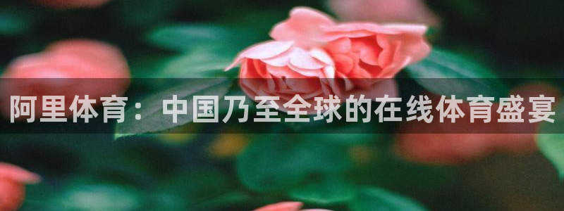 尊龙官网下载招商电话是多少号码：阿里体育：中国乃至全球的在线