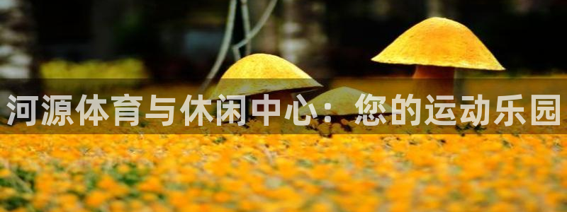 海南尊龙官网下载发展怎么样：河源体育与休闲中心：您的运动乐园