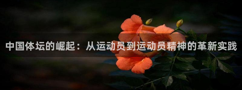 尊龙官网下载：中国体坛的崛起：从运动员到运动员精神的革新实践