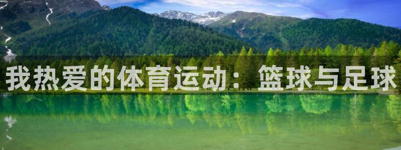 尊龙官网下载注册：我热爱的体育运动：篮球与足球