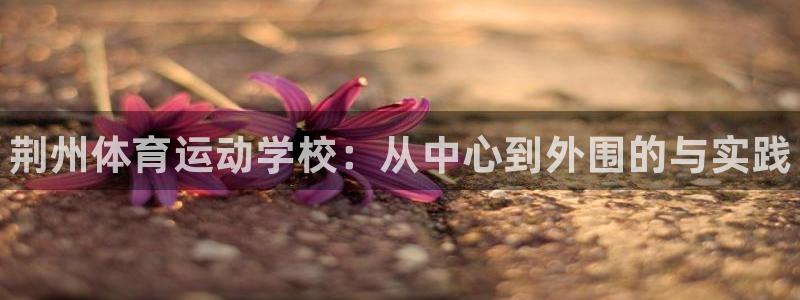 注册尊龙官方正版app：荆州体育运动学校：从中心到外围的与实